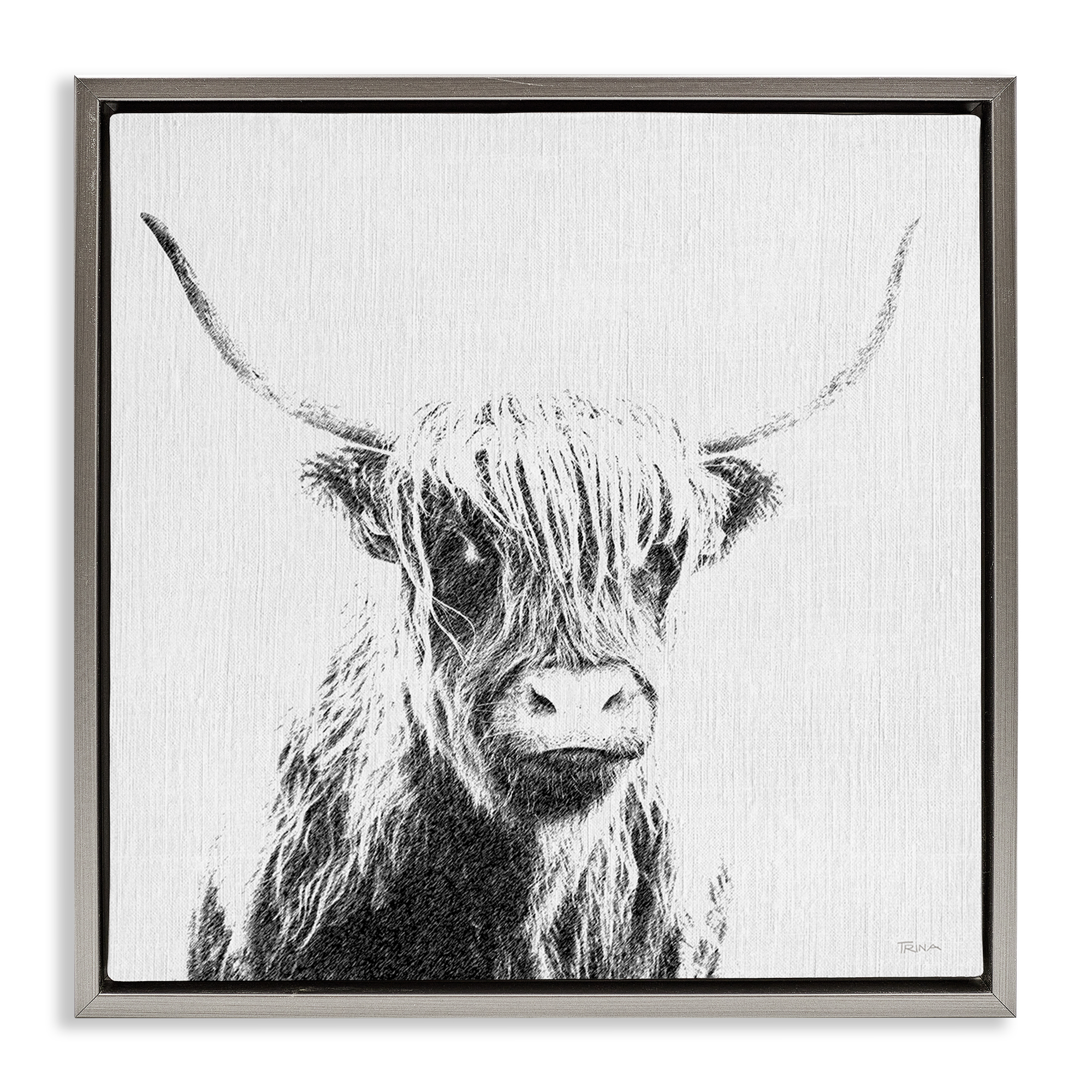 Stupell Industries Longhorn Sketch in Grey Animals Painting Gray Floater Framed Canvas Art Print Wall Art, 25 x 25