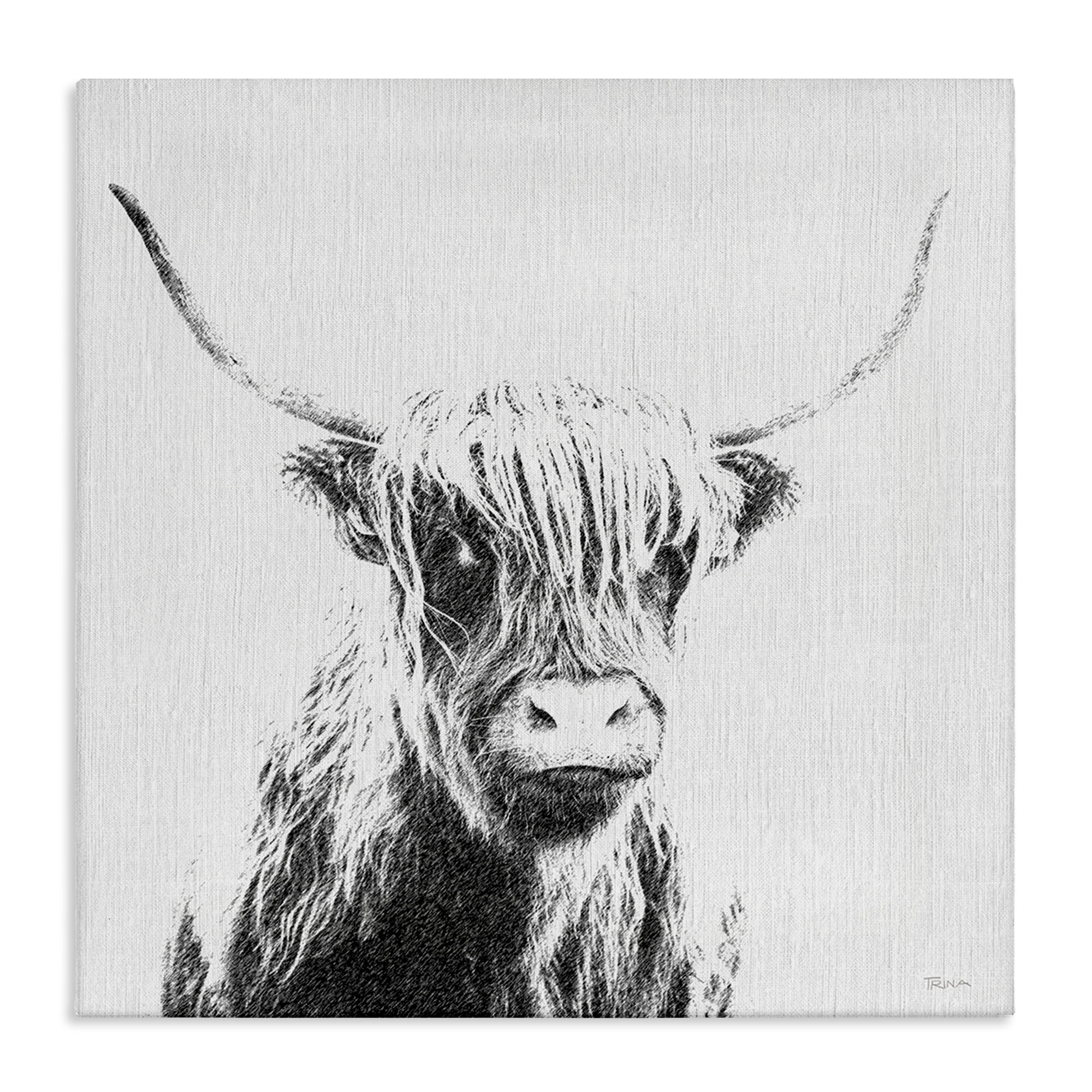 Stupell Industries Longhorn Sketch in Grey Animals Painting Wrapped Canvas Art Print Wall Art, 24 x 24