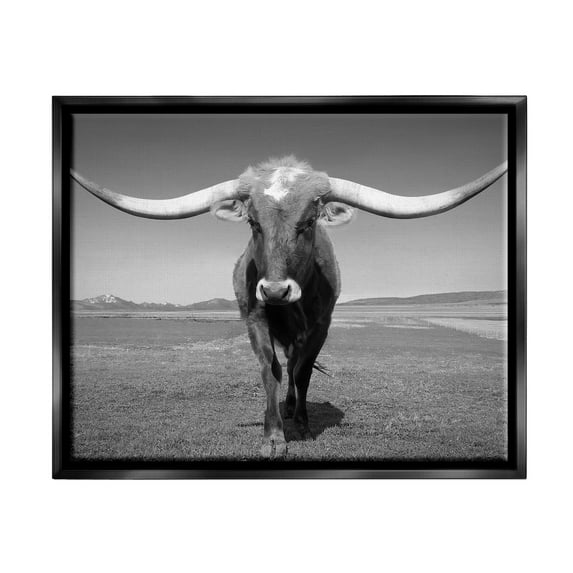 Stupell Industries Longhorn in Countryside Landscape Photography Black Floater Framed Canvas Art Print Wall Art, 31 x 25