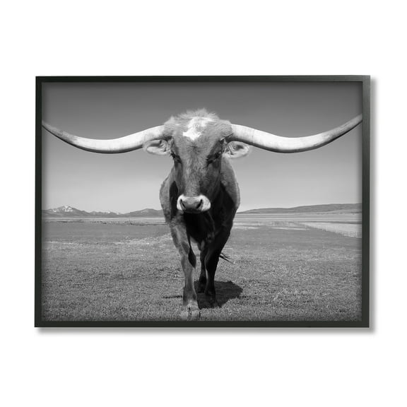 Stupell Industries Longhorn in Countryside Landscape Photography Black Framed Art Print Wall Art, 14 x 11