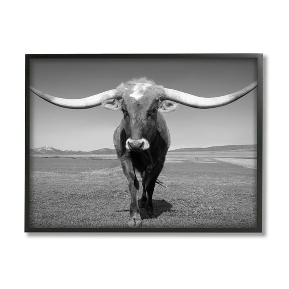 Stupell Industries Longhorn in Countryside Landscape Photography Black Framed Art Print Wall Art, 30 x 24