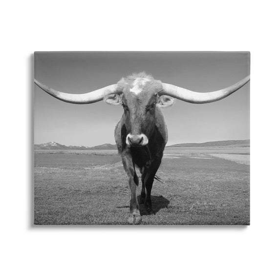 Stupell Industries Longhorn in Countryside Landscape Photography Gallery Wrapped Canvas Art Print Wall Art, 20 x 16
