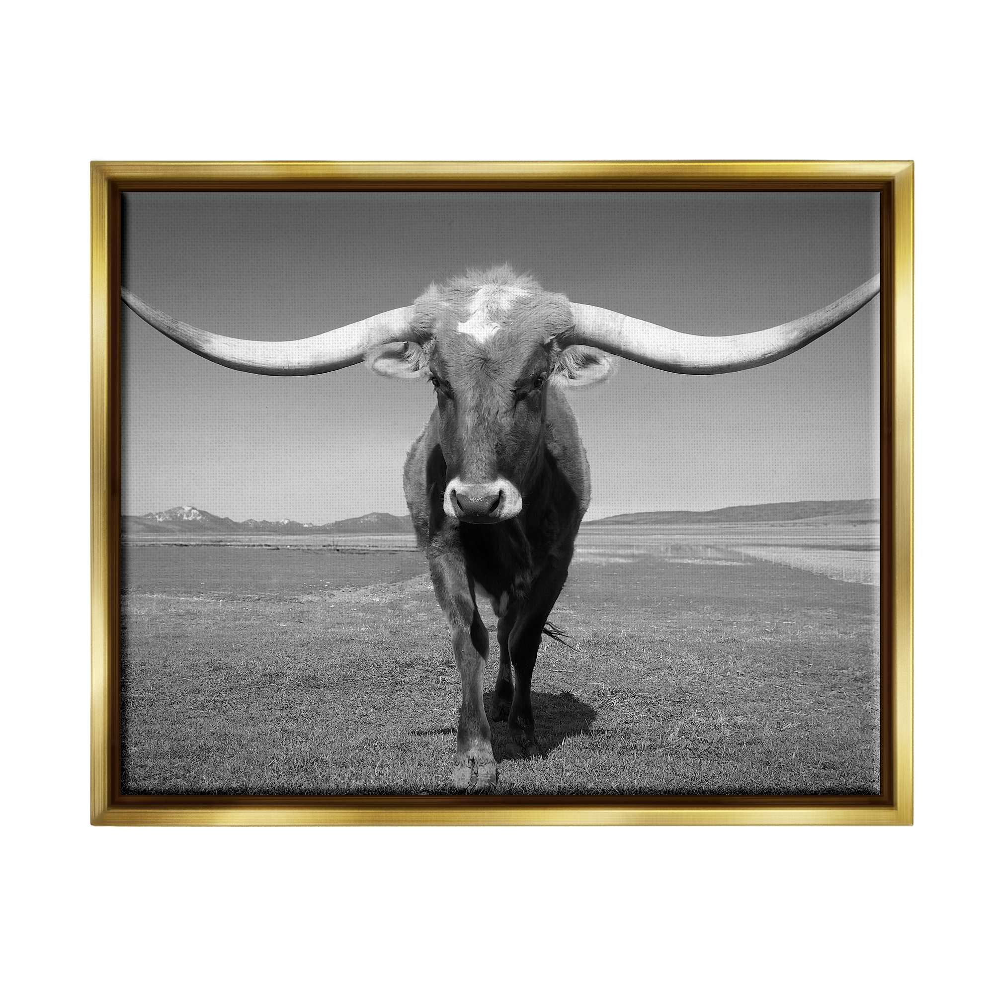 Stupell Industries Longhorn in Countryside Landscape Photography Gold Floater Framed Canvas Art Print Wall Art, 31 x 25