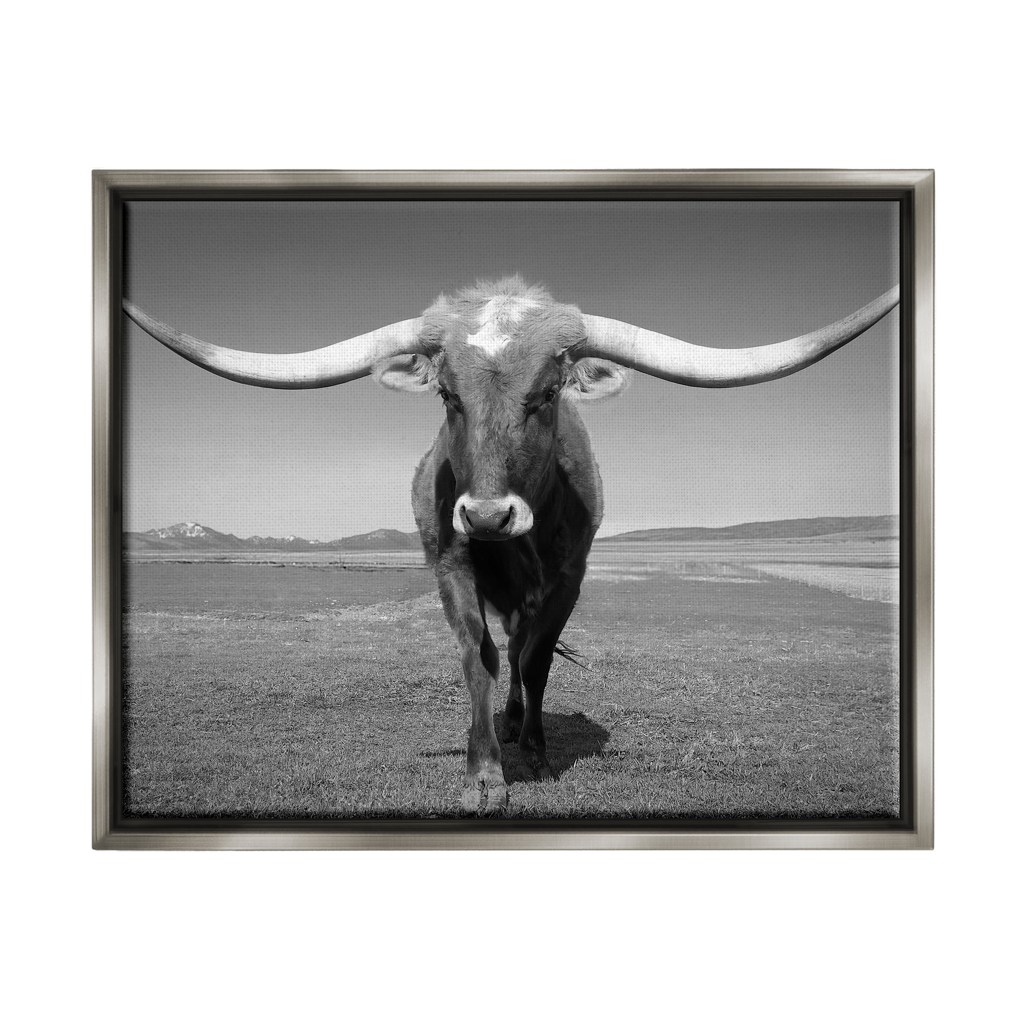Stupell Industries Longhorn in Countryside Landscape Photography Gray Floater Framed Canvas Art Print Wall Art, 31 x 25