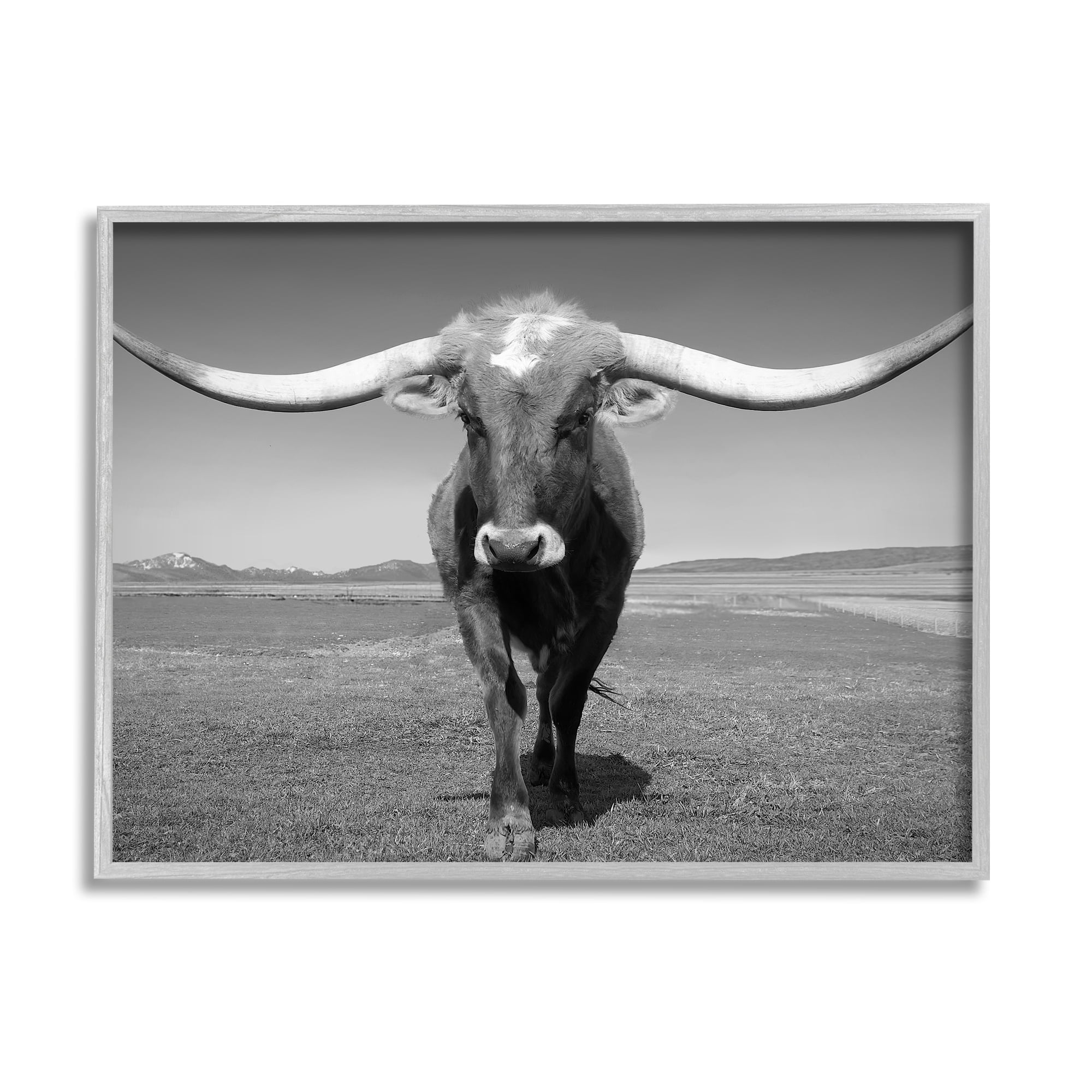 Stupell Industries Longhorn in Countryside Landscape Photography Gray Framed Art Print Wall Art, 20 x 16