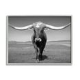 thumbnail image 1 of Stupell Industries Longhorn in Countryside Landscape Photography Gray Framed Art Print Wall Art, 20 x 16, 1 of 9