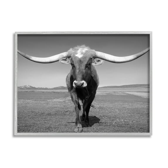 Stupell Industries Longhorn in Countryside Landscape Photography Gray Framed Art Print Wall Art, 20 x 16