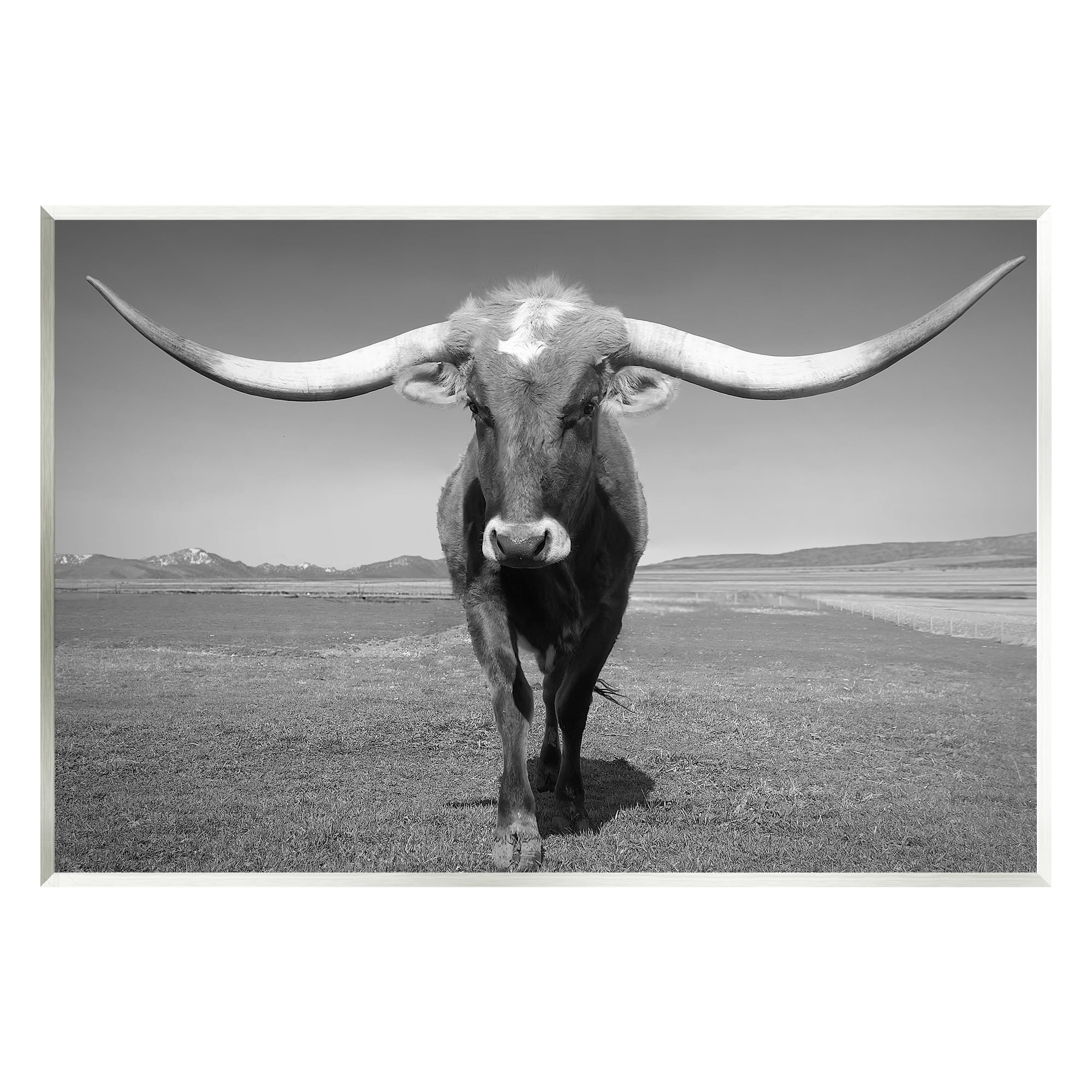 Stupell Industries Longhorn in Countryside Landscape Photography Unframed Art Print Wall Art, 15 x 10