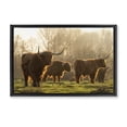 thumbnail image 1 of Stupell Industries Longhorns in Foggy Pasture Animals & Insects Photography Black Floater Framed Canvas Art Print Wall Art, 25 x 17, 1 of 10