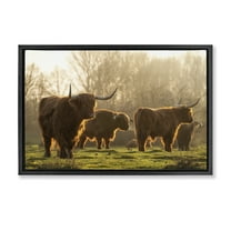 Stupell Industries Longhorns in Foggy Pasture Animals & Insects Photography Black Floater Framed Canvas Art Print Wall Art, 25 x 17