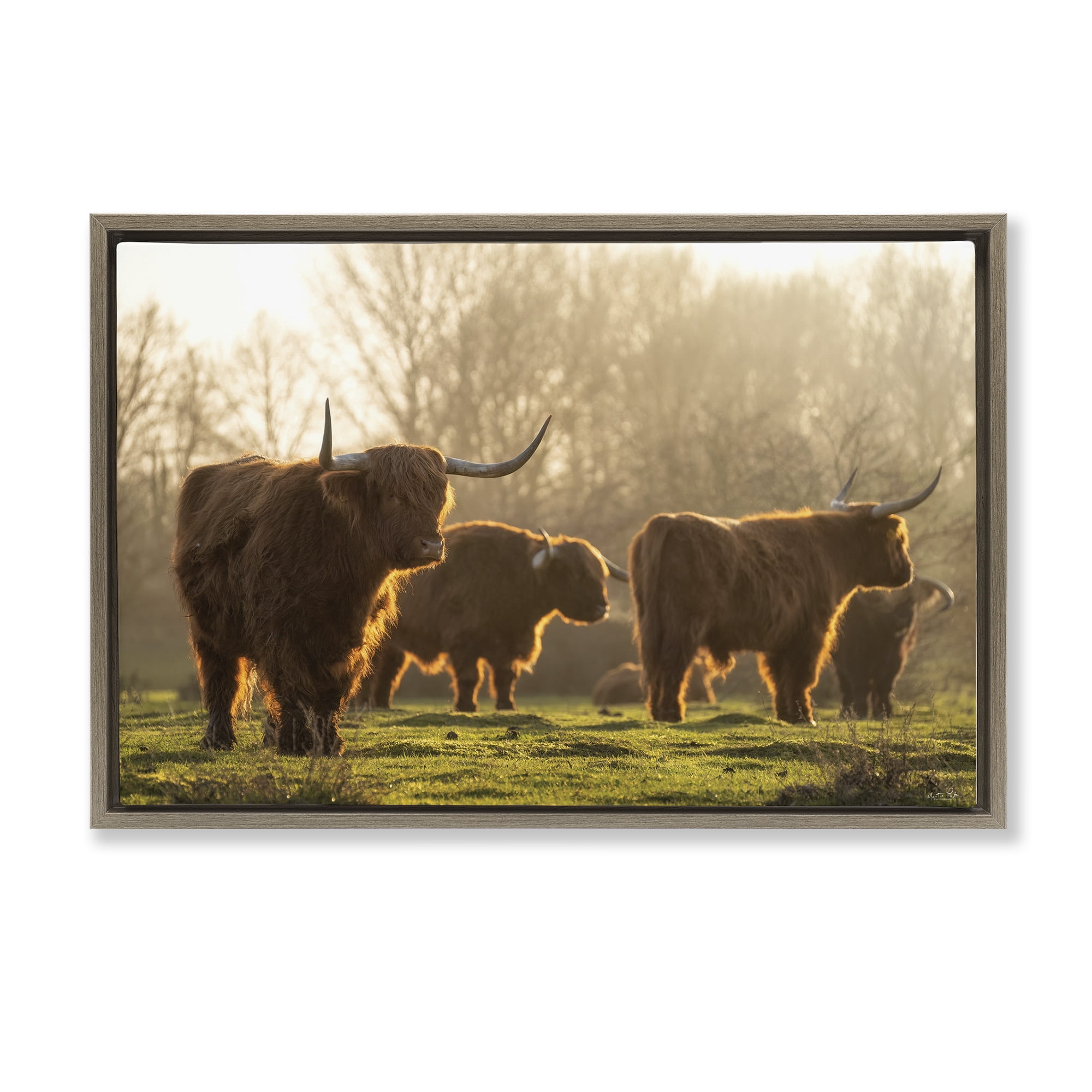 Stupell Industries Longhorns in Foggy Pasture Animals & Insects Photography Brown Floater Framed Canvas Art Print Wall Art, 25 x 17