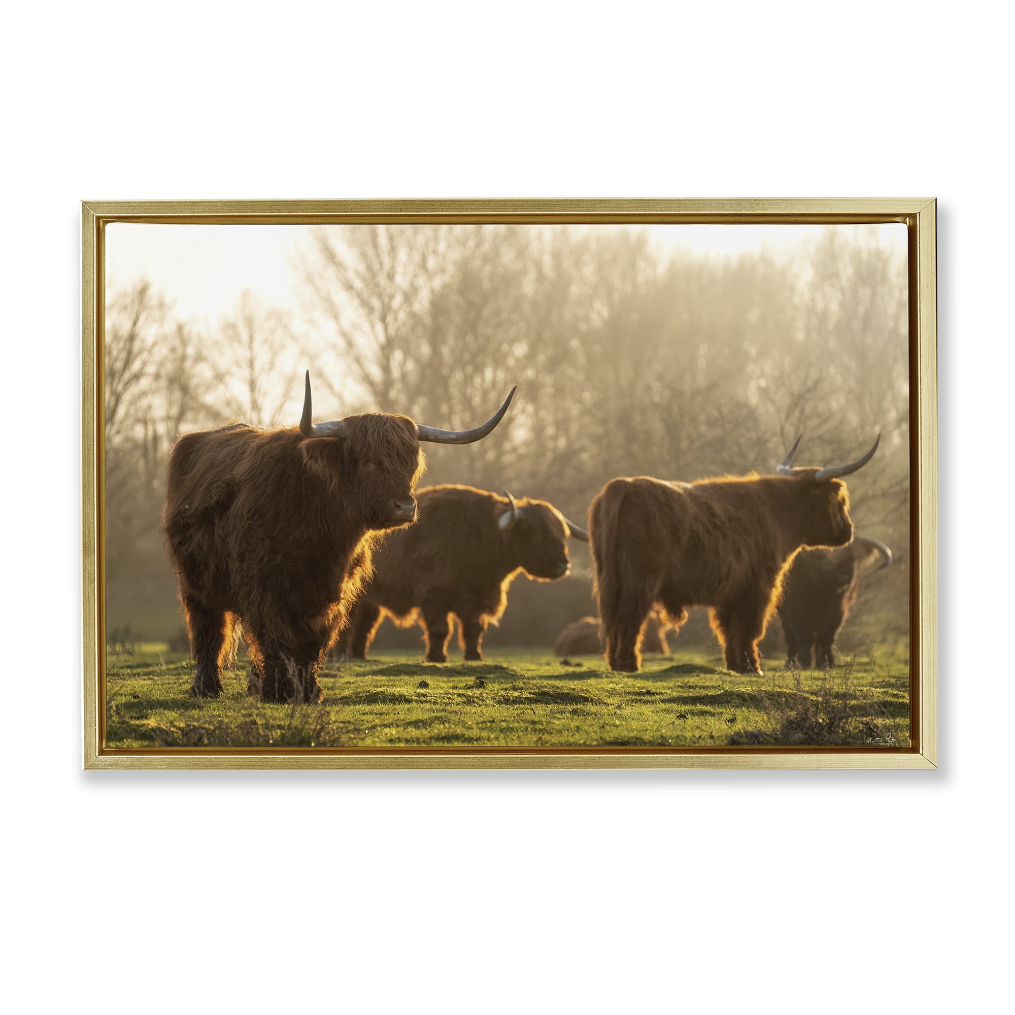 Stupell Industries Longhorns in Foggy Pasture Animals & Insects Photography Gold Floater Framed Canvas Art Print Wall Art, 25 x 17