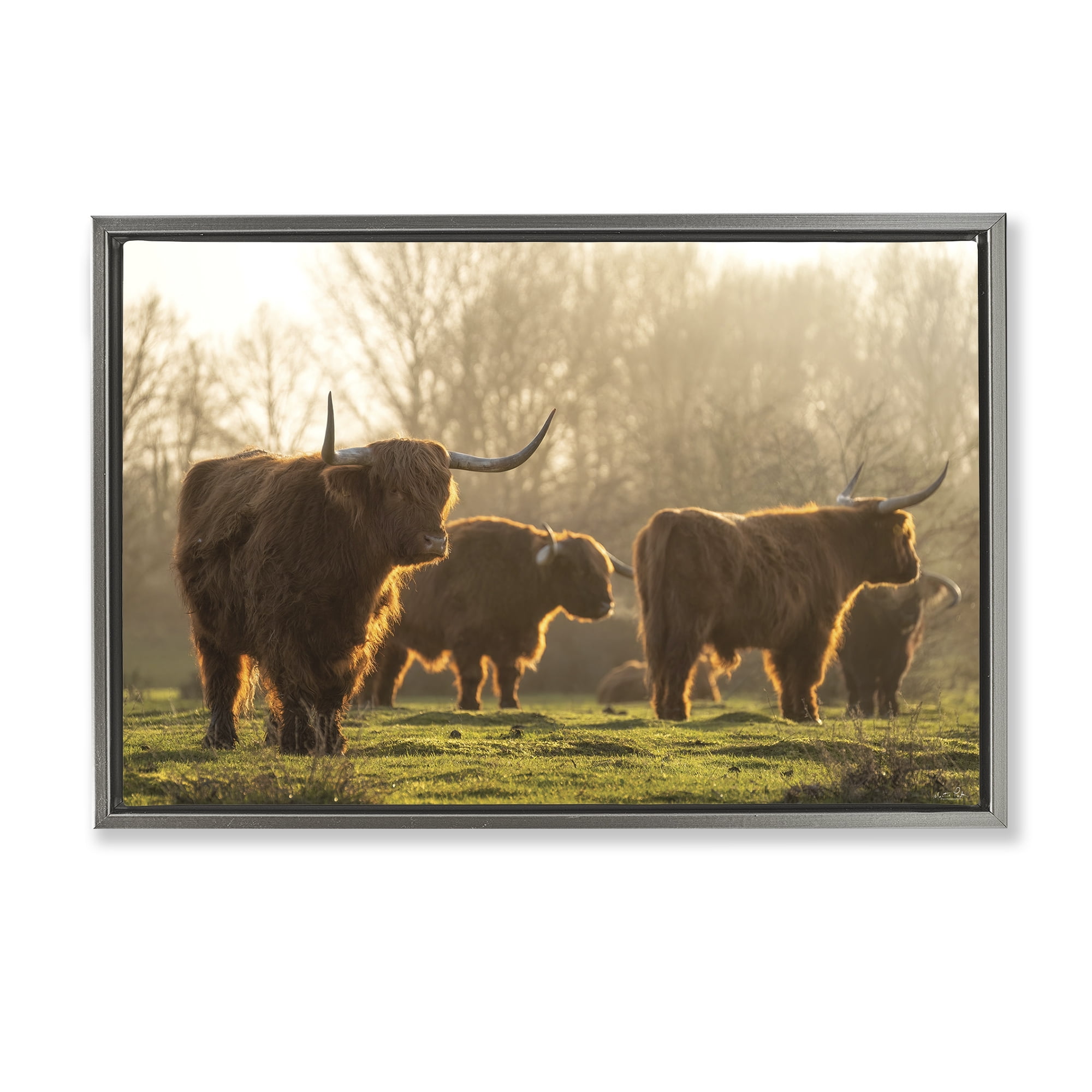 Stupell Industries Longhorns in Foggy Pasture Animals & Insects Photography Gray Floater Framed Canvas Art Print Wall Art, 31 x 21