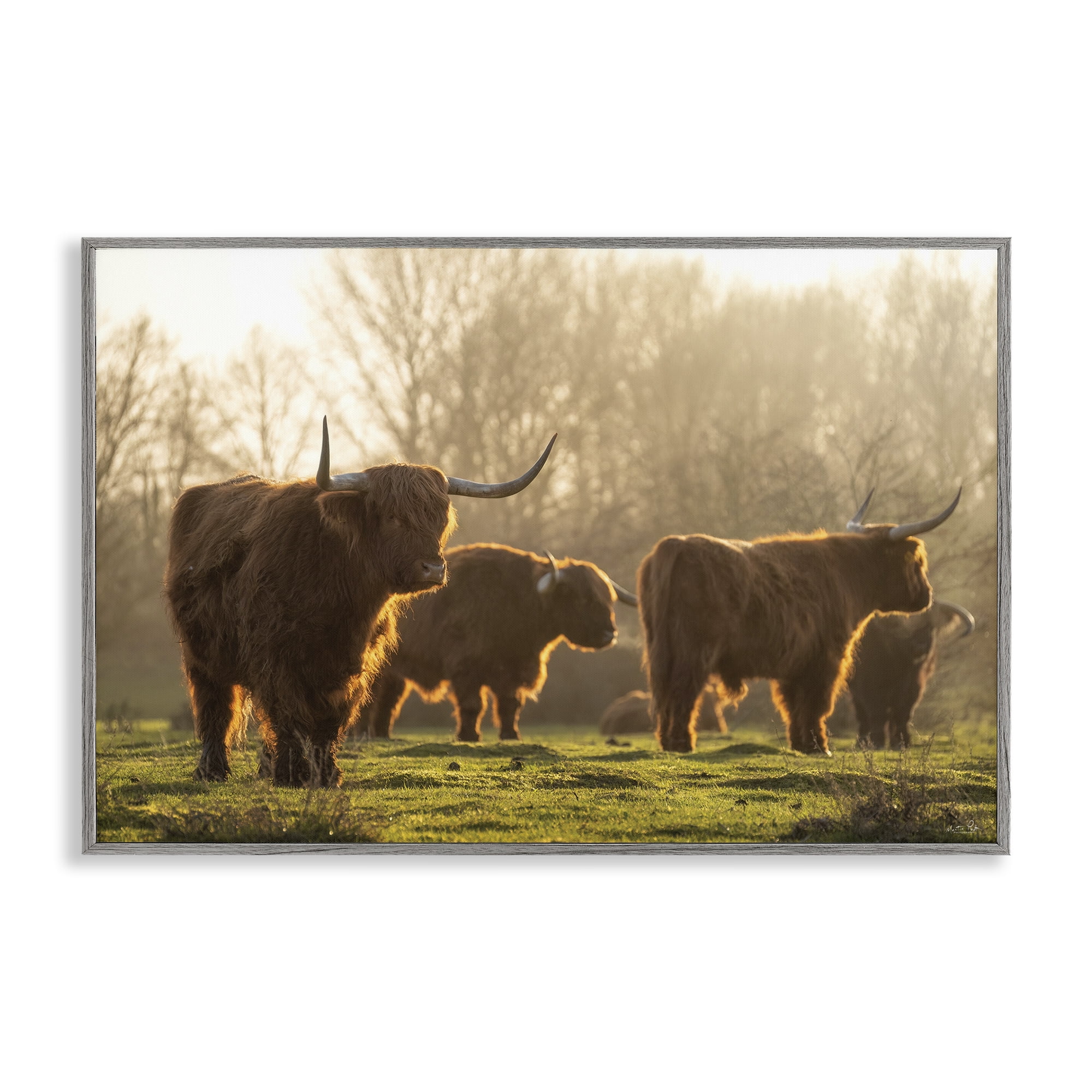 Stupell Industries Longhorns in Foggy Pasture Animals & Insects Photography Gray Framed Art Print Wall Art, 30 x 20