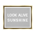 thumbnail image 1 of Stupell Industries Look Alive Sunshine Simple Grey Inspirational Painting Gold Floater Framed Art Print Wall Art, 1 of 6