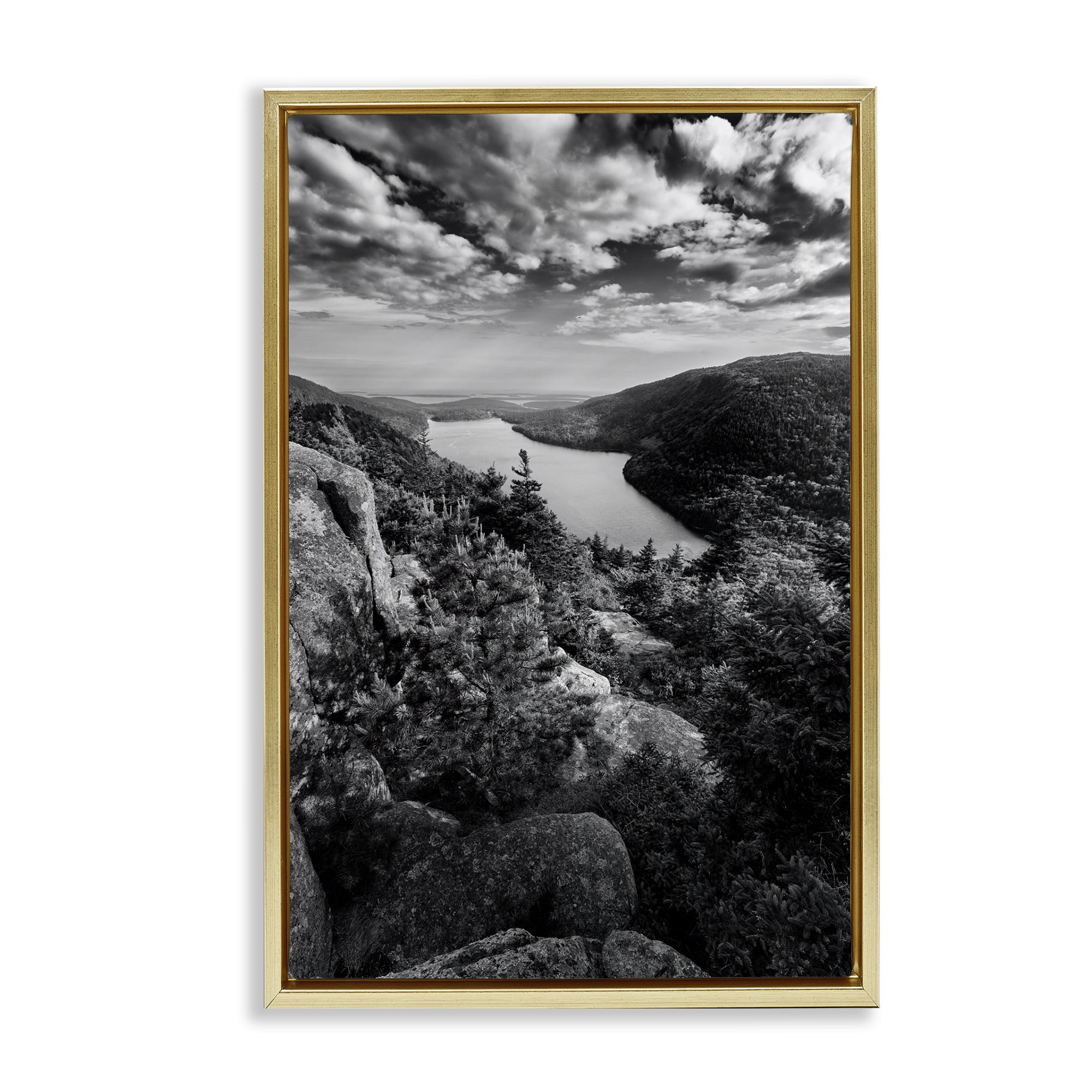 Stupell Industries Looking Over Cliffs Landscape Landscape & Nature Photography Gold Floater Framed Canvas Art Print Wall Art, 17 x 25