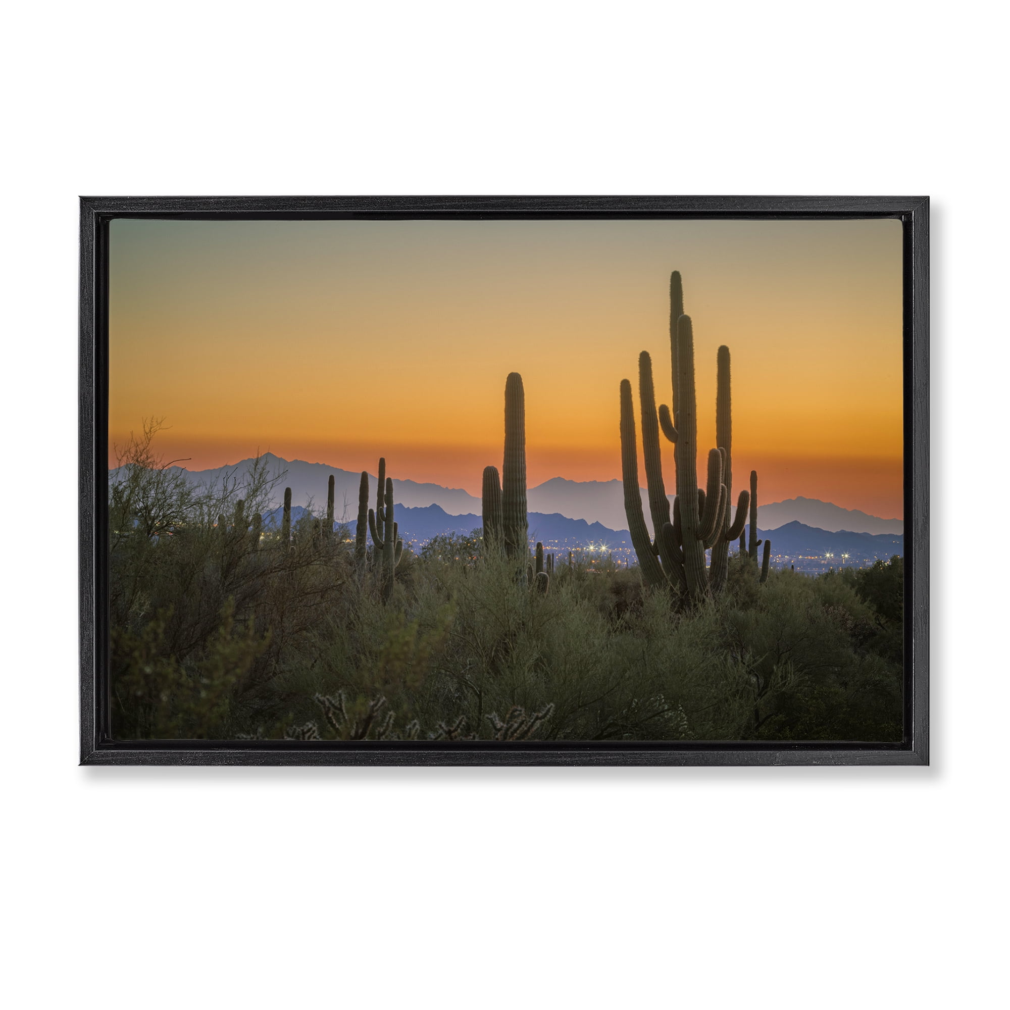 Stupell Industries Looming Cacti Sunset Landscape & Nature Photography Black Floater Framed Canvas Art Print Wall Art, 31 x 21