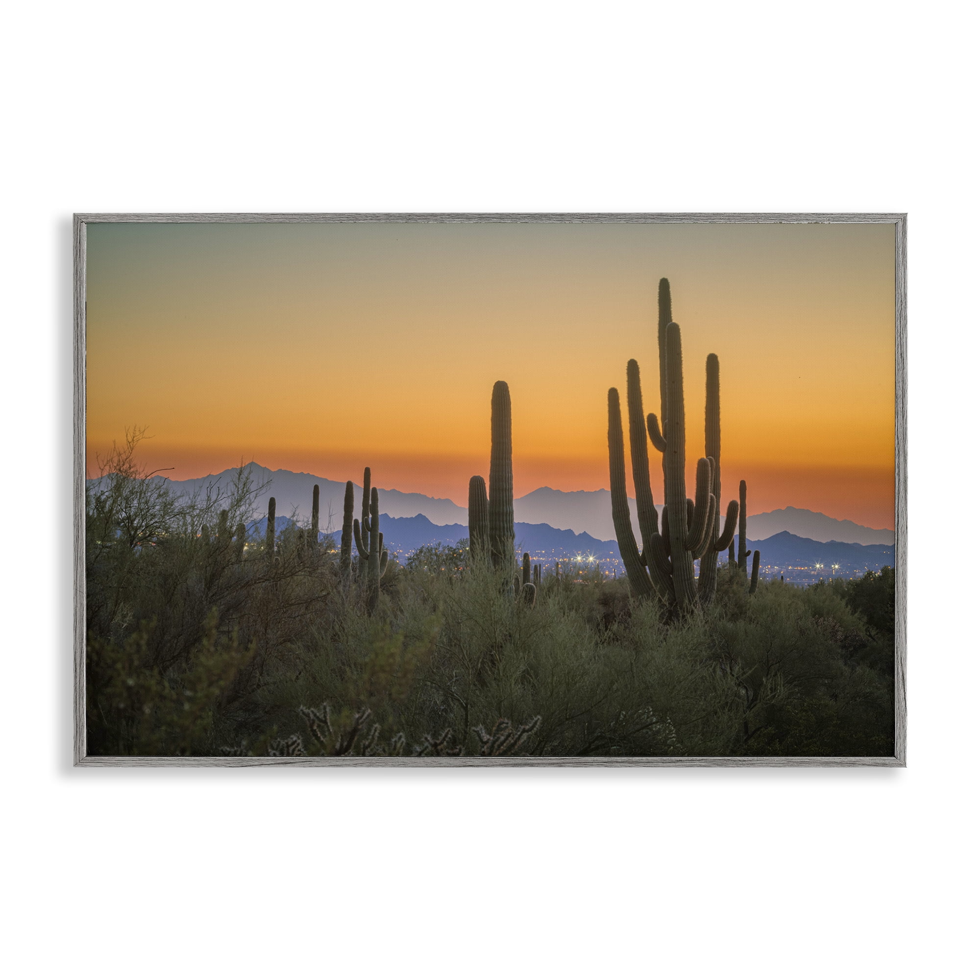 Stupell Industries Looming Cacti Sunset Landscape & Nature Photography Gray Framed Art Print Wall Art, 24 x 16