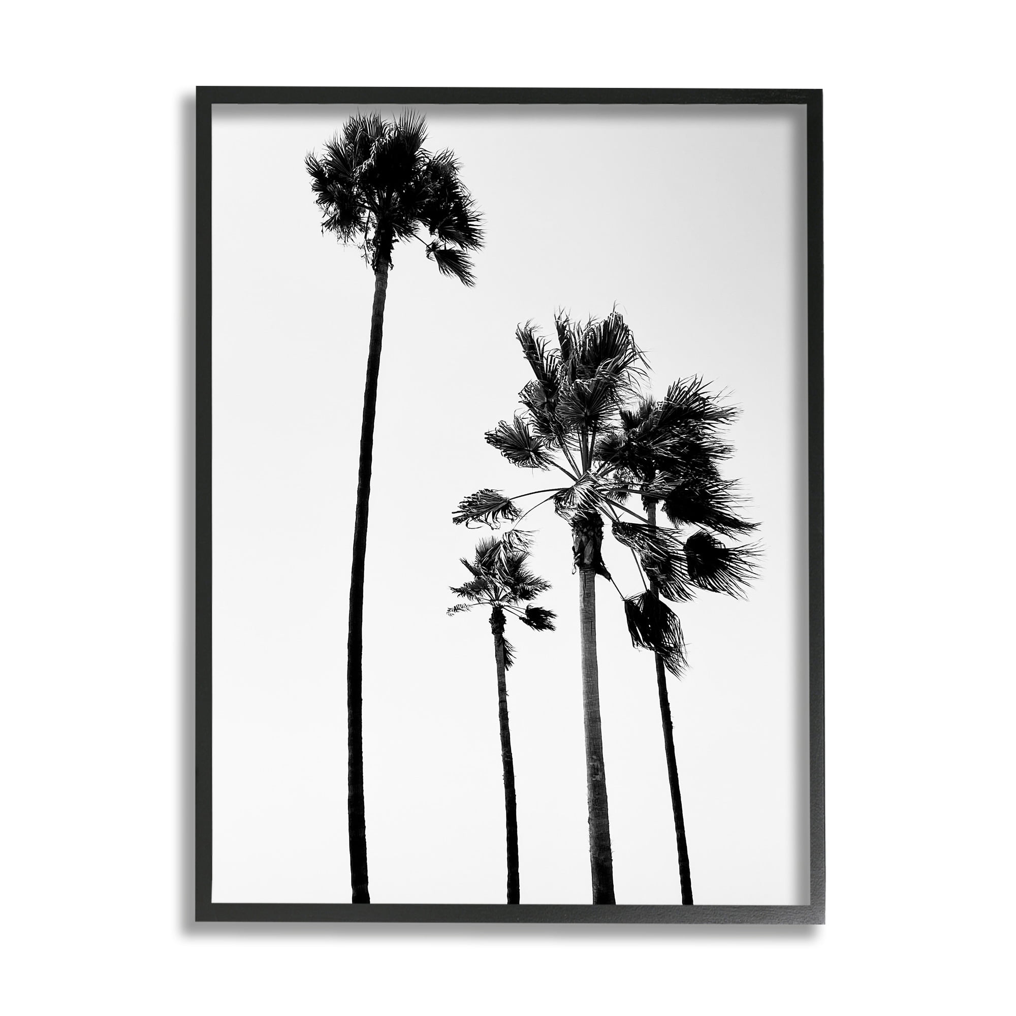 Black Framed Palm Trees Canvas Print, 16 x 20 inches