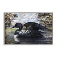 thumbnail image 1 of Stupell Industries Loon in Rustic Pond Animals Painting Gray Framed Art Print Wall Art, 24 x 16, 1 of 2