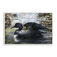 thumbnail image 1 of Stupell Industries Loon in Rustic Pond Animals Painting White Framed Art Print Wall Art, 18 x 12, 1 of 2