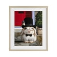 thumbnail image 1 of Stupell Industries Eclectic Lord Bunbury Rabbit Birch Framed Print Under Glass, 13 x 16, by Lucia Heffernan, 1 of 8