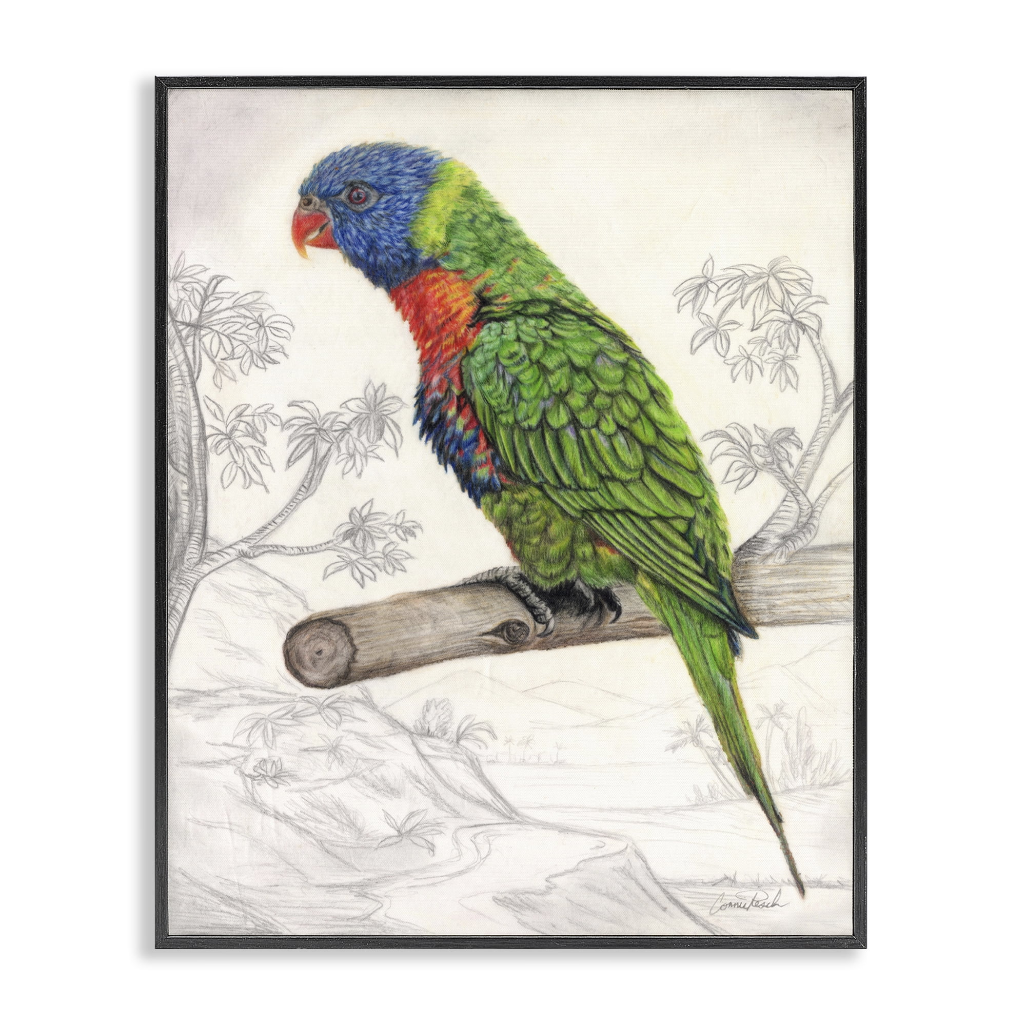 Stupell Industries Lorikeet Sketched Nature Animals & Insects Painting Black Framed Art Print Wall Art, 24 x 30