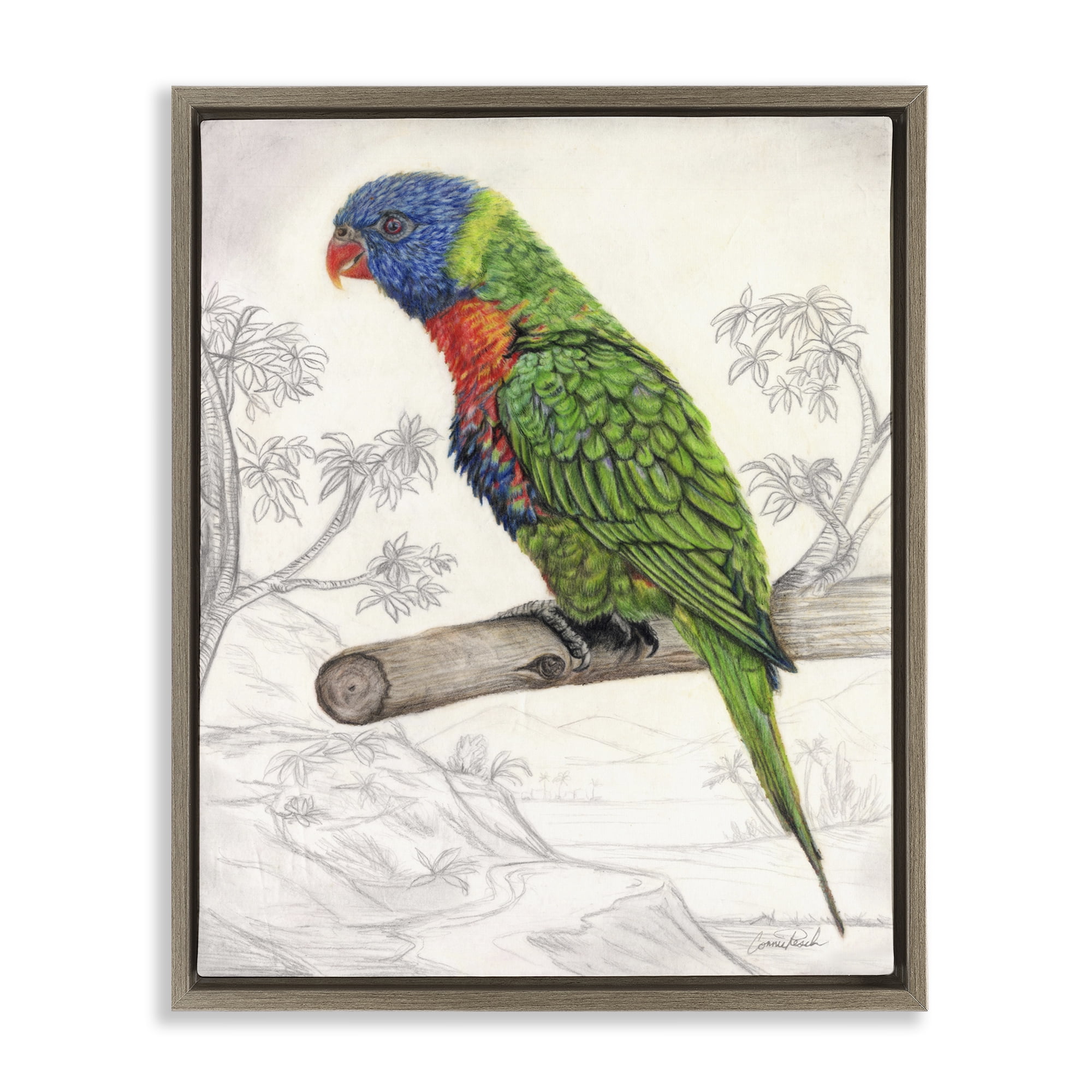 Stupell Industries Lorikeet Sketched Nature Animals & Insects Painting Brown Floater Framed Canvas Art Print Wall Art, 17 x 21