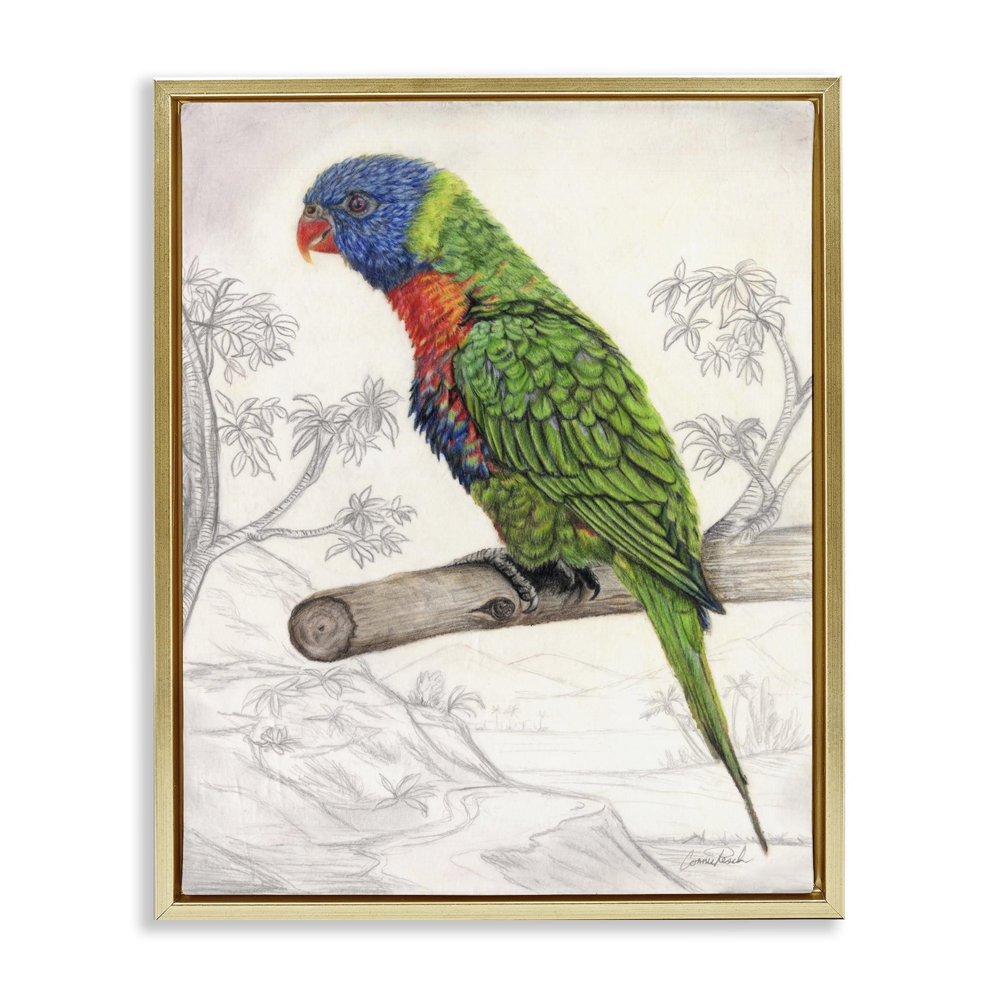 Stupell Industries Lorikeet Sketched Nature Animals & Insects Painting