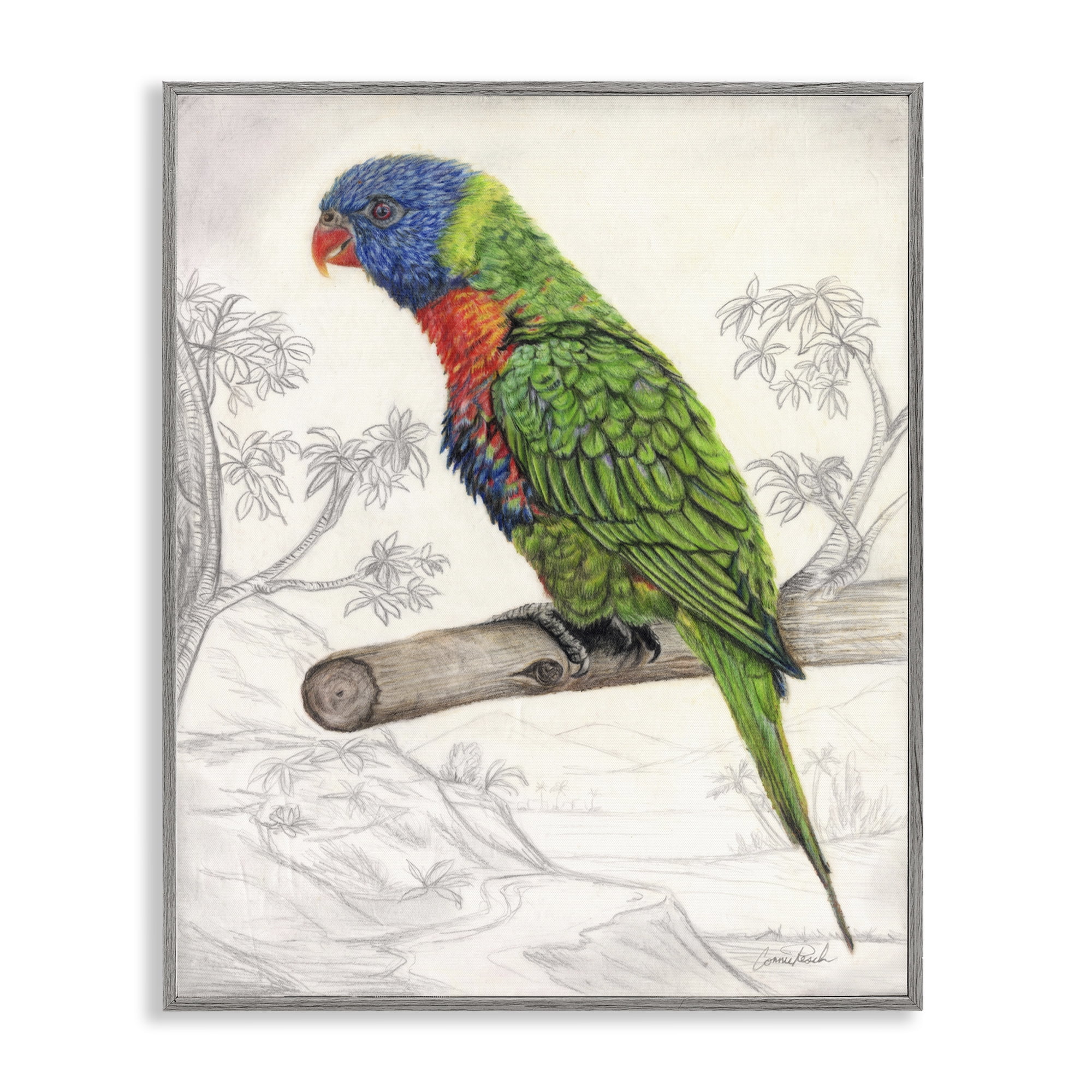 Stupell Industries Lorikeet Sketched Nature Animals & Insects Painting Gray Framed Art Print Wall Art, 16 x 20