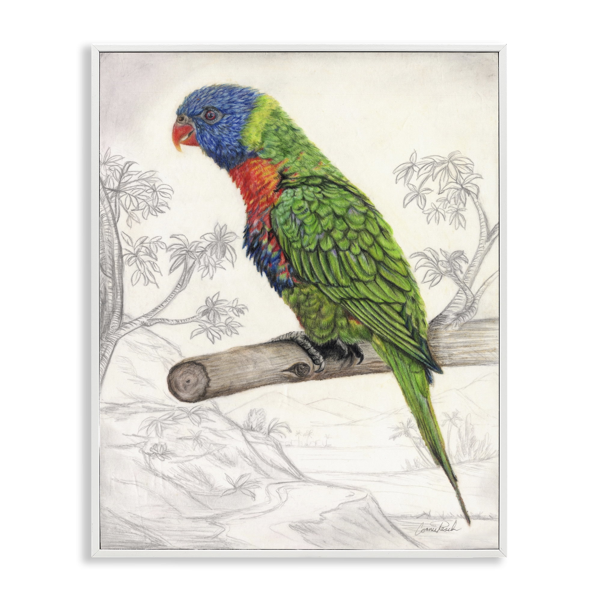 Stupell Industries Lorikeet Sketched Nature Animals & Insects Painting White Framed Art Print Wall Art, 11 x 14