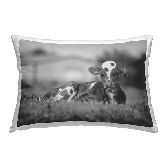 Stupell Industries Lounging Cow in Grass Decorative Printed Throw Pillow Design by Dakota Diener