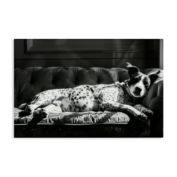 Stupell Industries Lounging Dog in Sun Animals Photography Wrapped Canvas Canvas Art Print Wall Art, 45 x 30