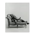 thumbnail image 1 of Stupell Industries Lounging Elephant on Chaise Animals Painting Wrapped Canvas Canvas Art Print Wall Art, 16 x 20, 1 of 7