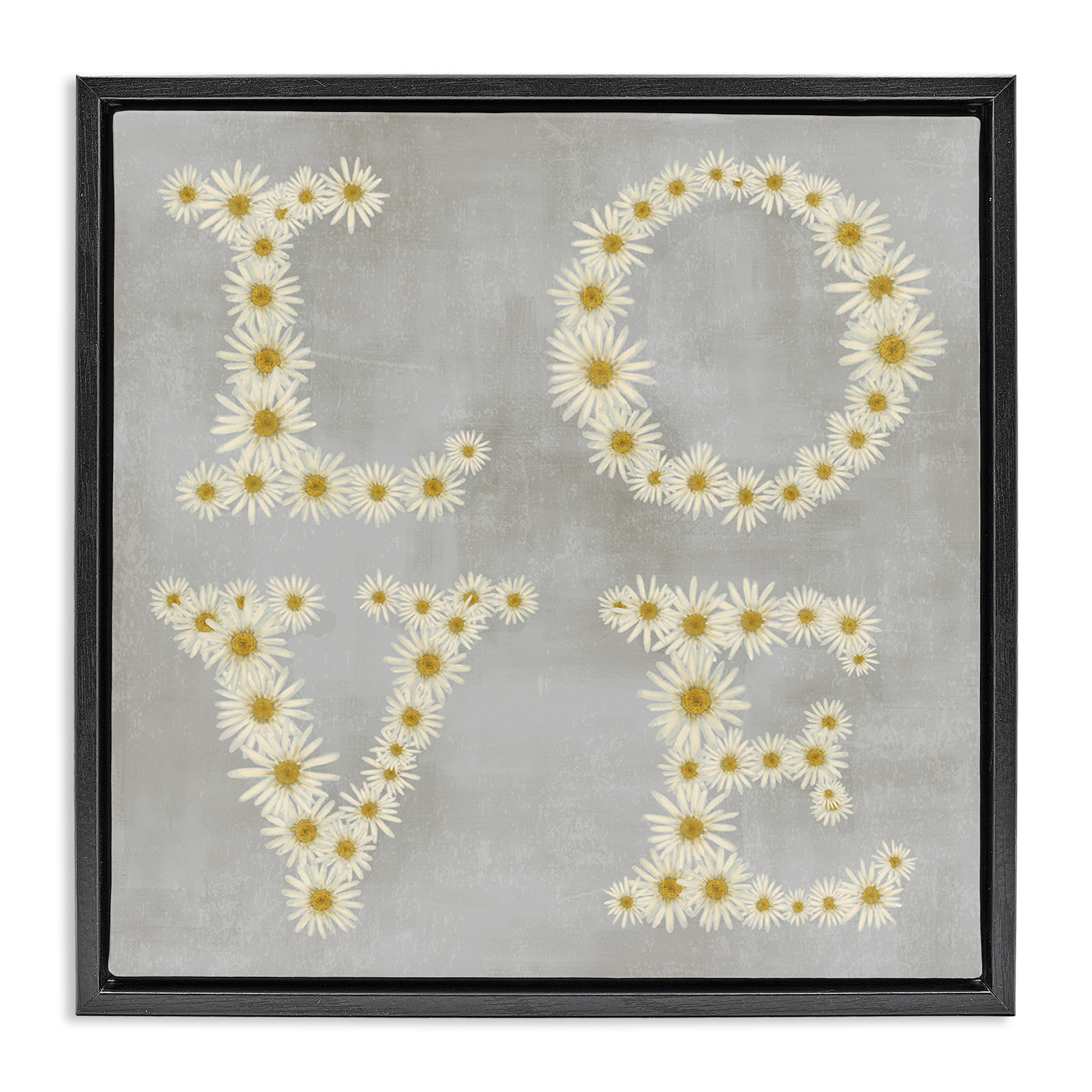 Stupell Industries Love Daisy Typography Plants & Flowers Painting Black Floater Framed Canvas Art Print Wall Art, 18 x 18