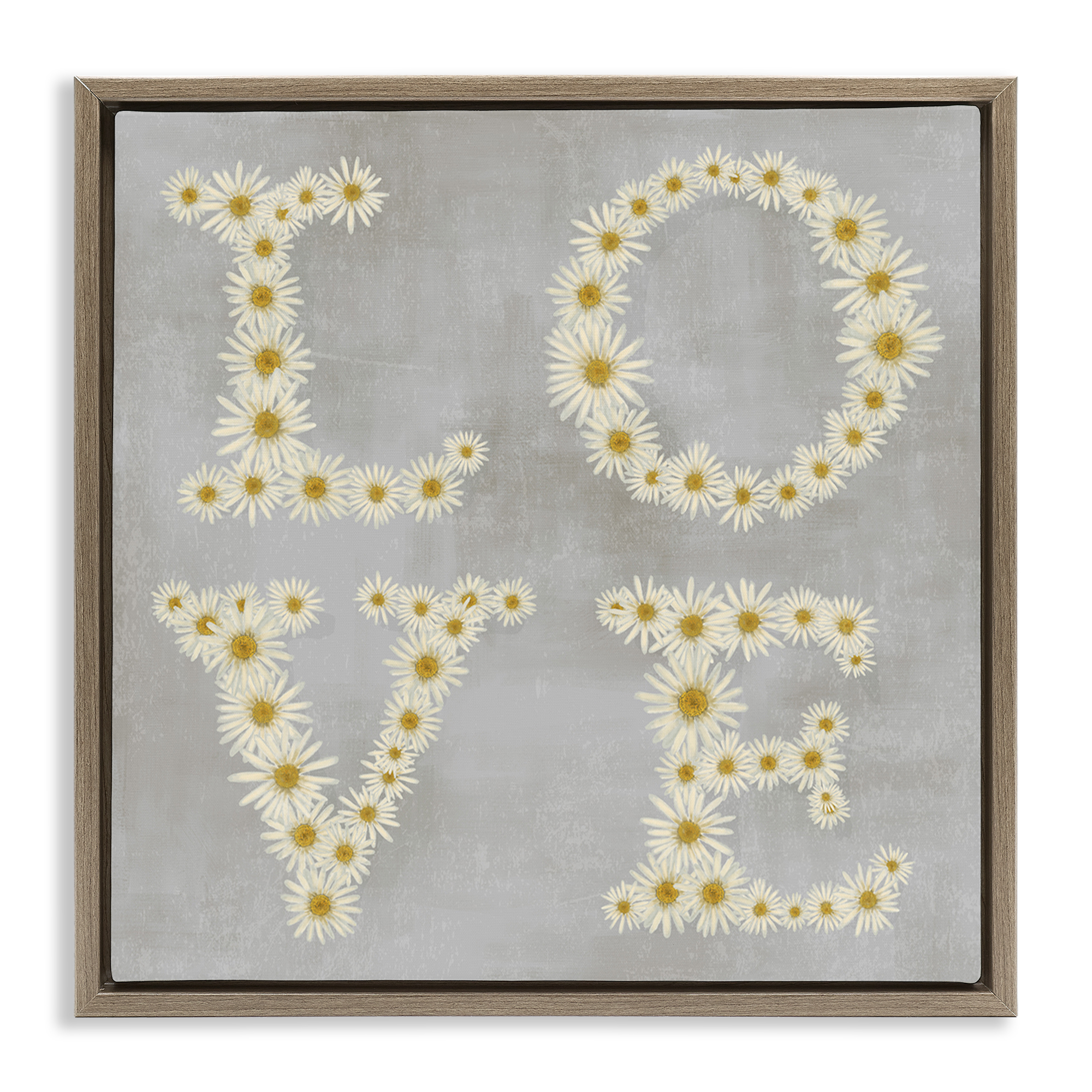 Stupell Industries Love Daisy Typography Plants & Flowers Painting Brown Floater Framed Canvas Art Print Wall Art, 18 x 18