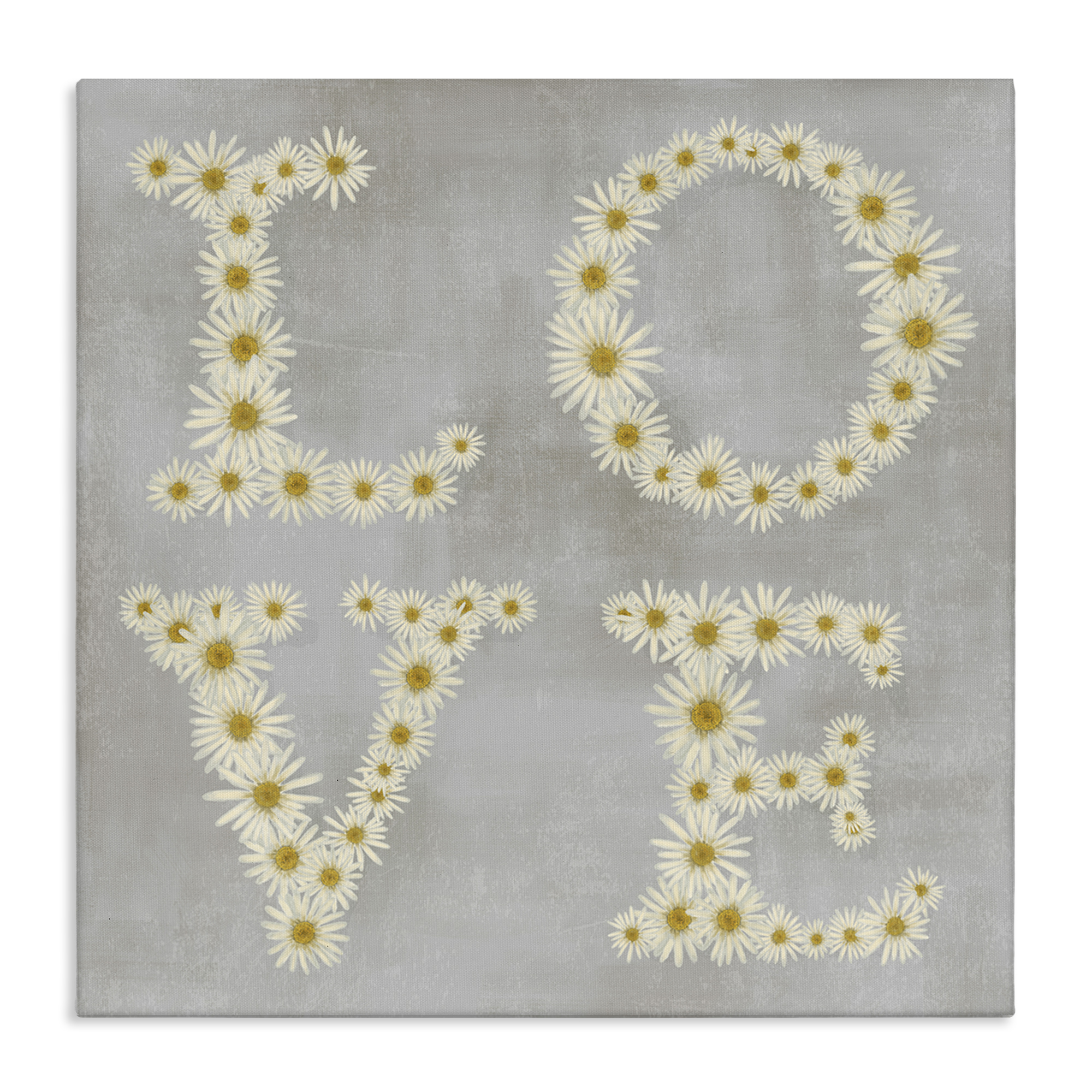 Stupell Industries Love Daisy Typography Plants & Flowers Painting Wrapped Canvas Art Print Wall Art, 24 x 24