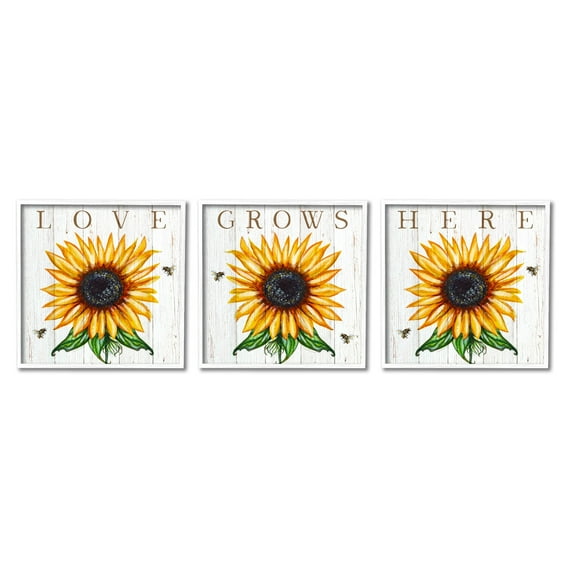 Stupell Industries Love Grows Here Phrase Yellow Sunflowers Honey Bees, 12 x 12,Design by Elizabeth Tyndall