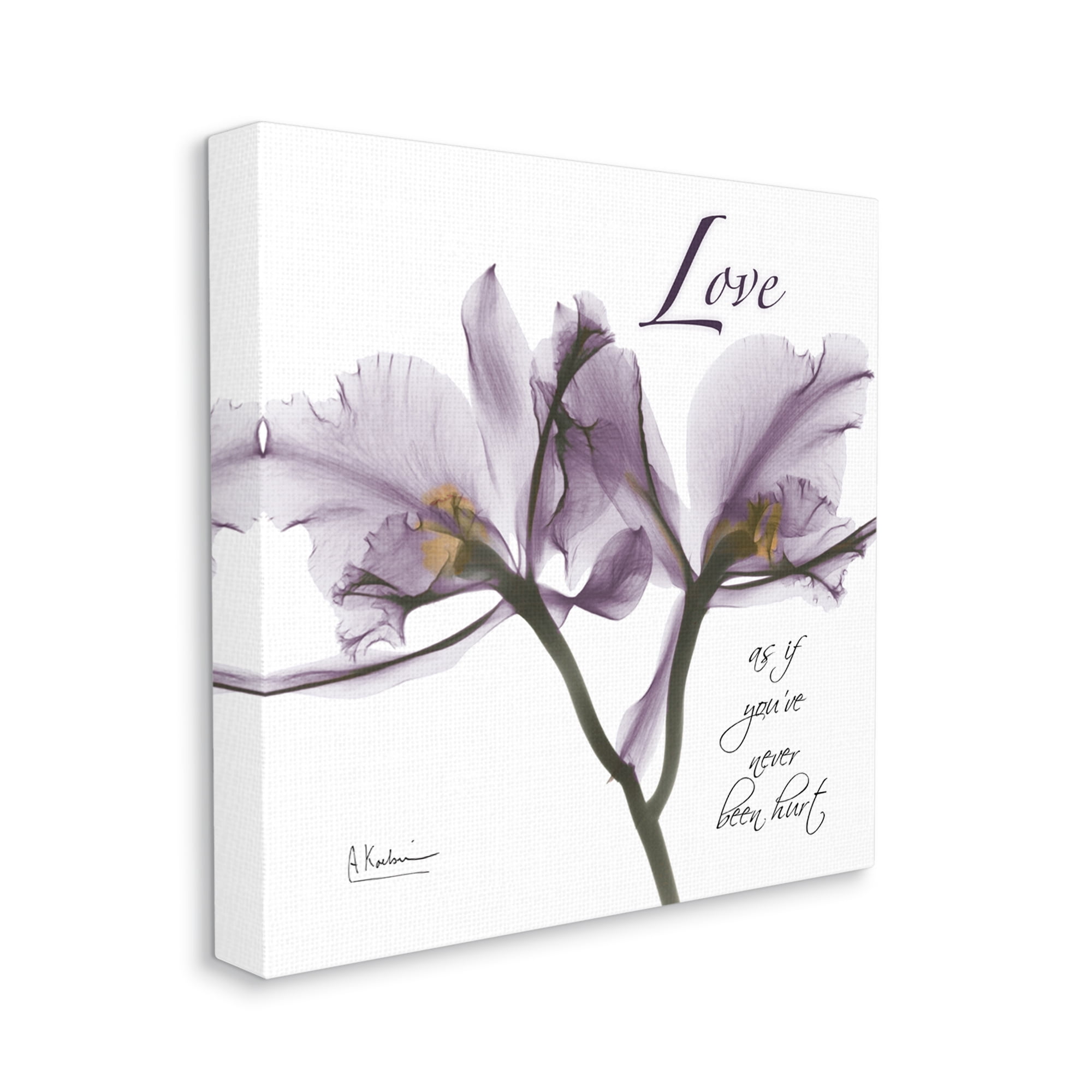 Stupell Industries Love Like Never Hurt Purple Orchid Floral Silhouette Canvas Wall Art by Albert Koetsier