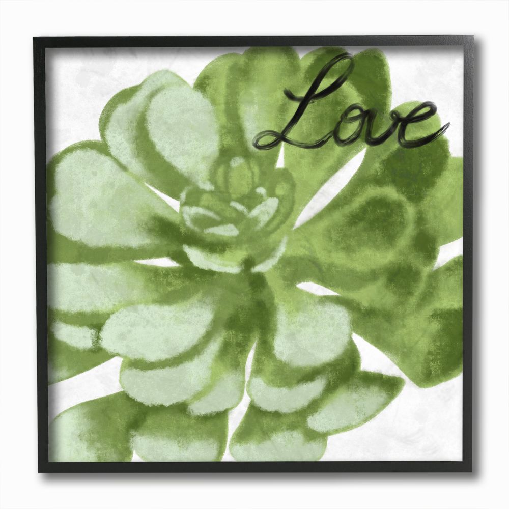 Stupell Industries Love Succulent Family Home Painting Framed Giclee Texturized Art by Marcus Prime