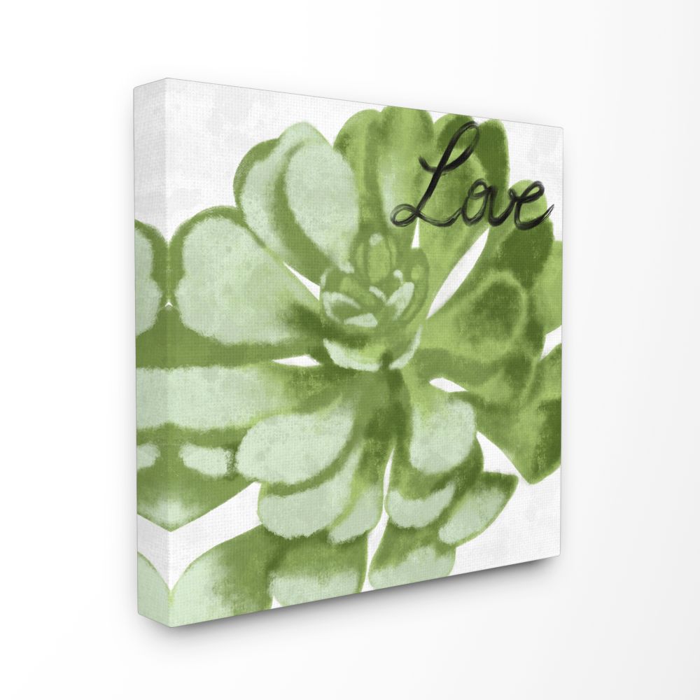 Stupell Industries Love Succulent Family Home Painting XL Canvas Wall Art by Marcus Prime