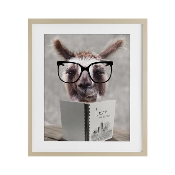 Stupell Industries Love on the Farm Llama Birch Framed Print Under Glass, design by Lori Deiter