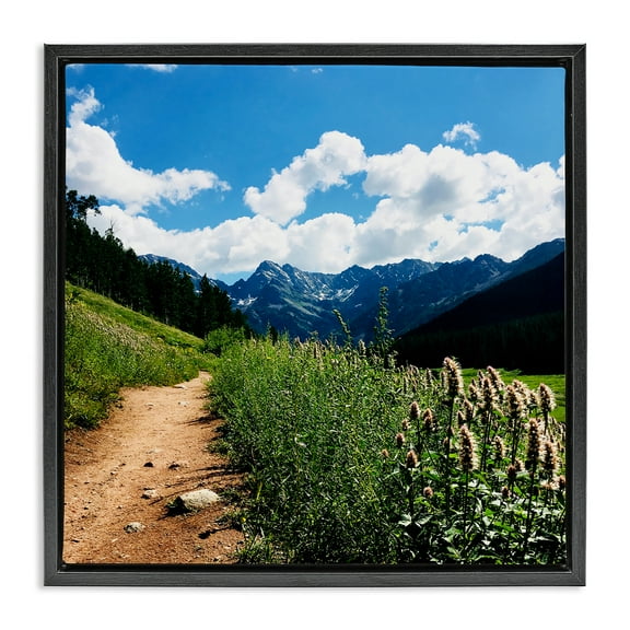 Stupell Industries Lovely Path with Clouds Landscape & Nature Photography Black Floater Framed Canvas Art Print Wall Art, 18 x 18