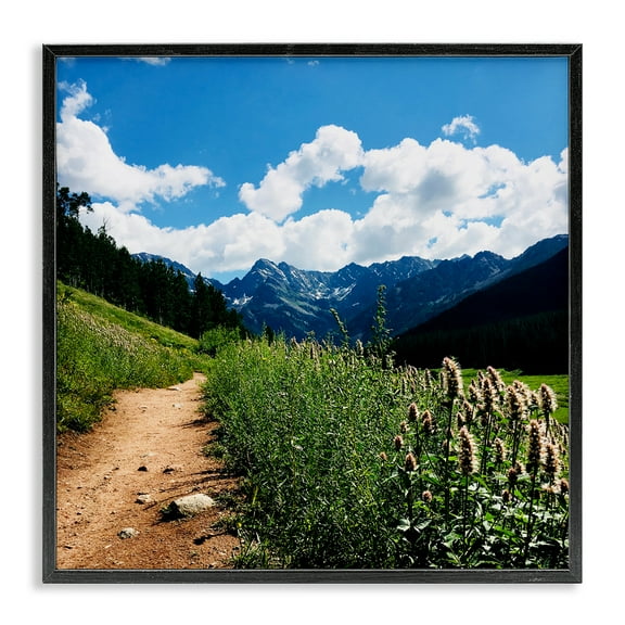 Stupell Industries Lovely Path with Clouds Landscape & Nature Photography Black Framed Art Print Wall Art, 12 x 12
