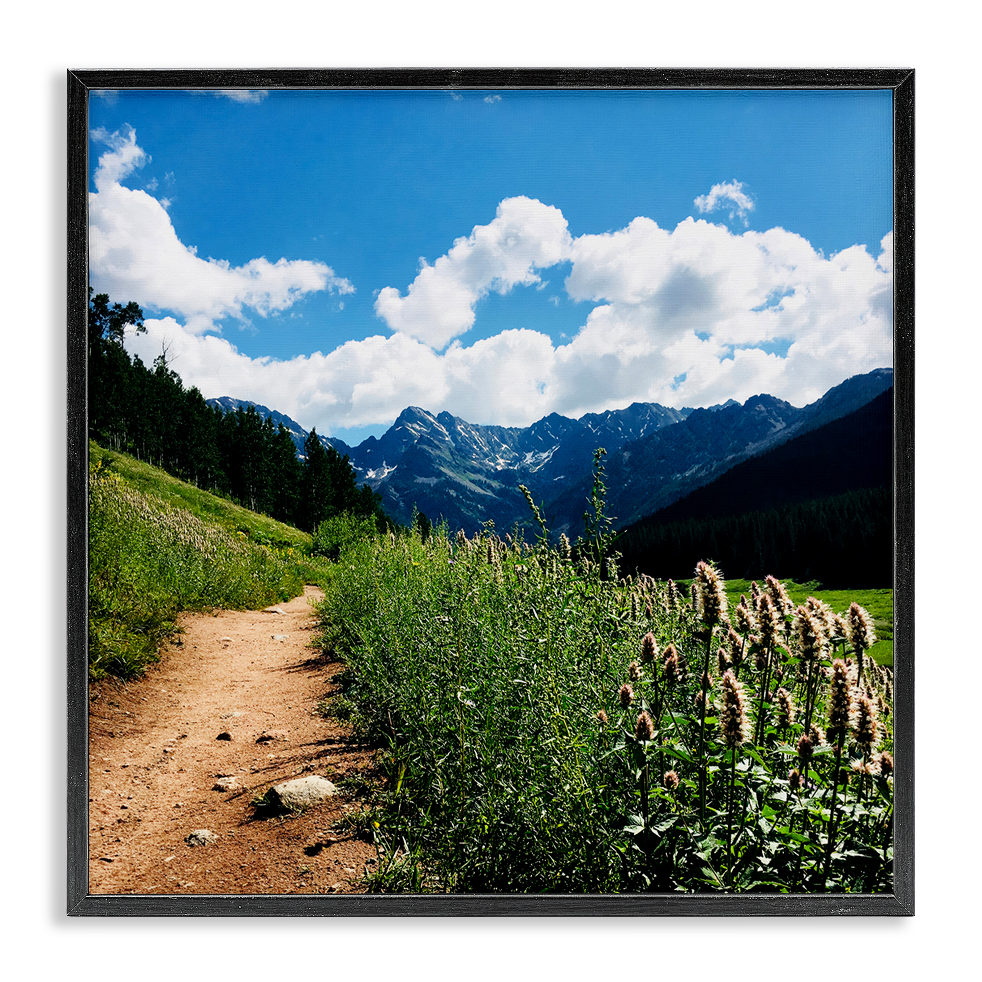 Stupell Industries Lovely Path with Clouds Landscape & Nature Photography Black Framed Art Print Wall Art, 24 x 24