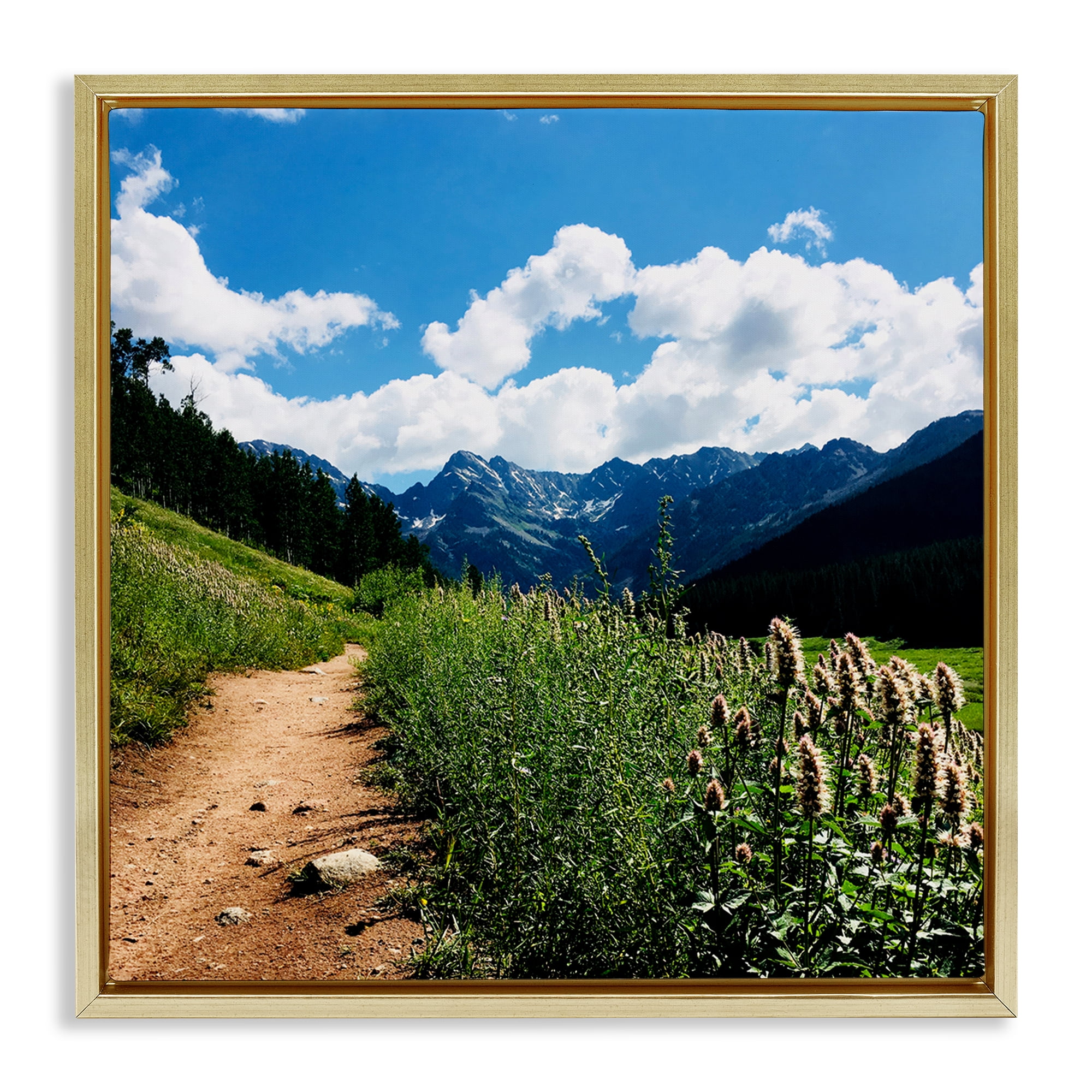 Stupell Industries Lovely Path with Clouds Landscape & Nature Photography Gold Floater Framed Canvas Art Print Wall Art, 25 x 25