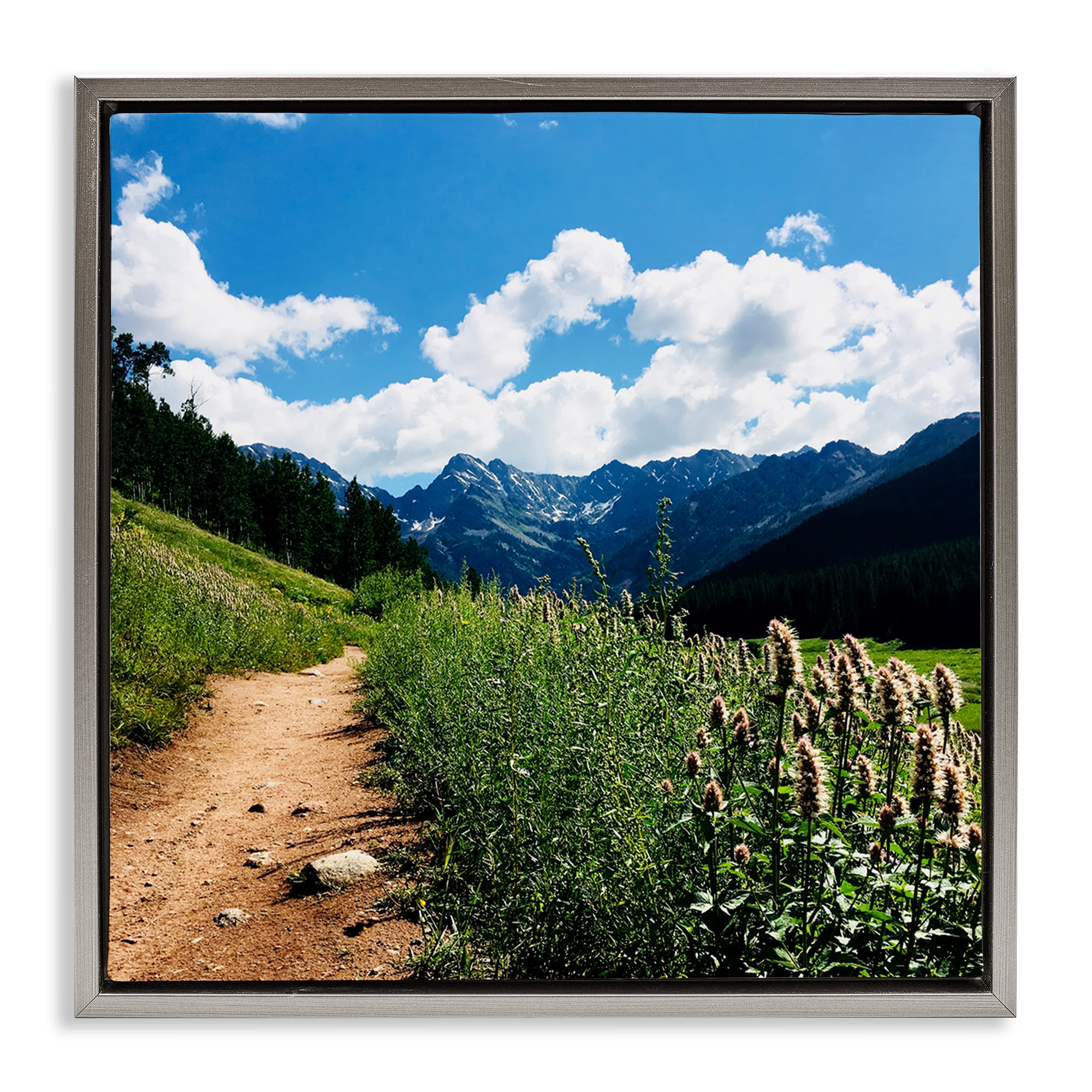 Stupell Industries Lovely Path with Clouds Landscape & Nature Photography Gray Floater Framed Canvas Art Print Wall Art, 25 x 25