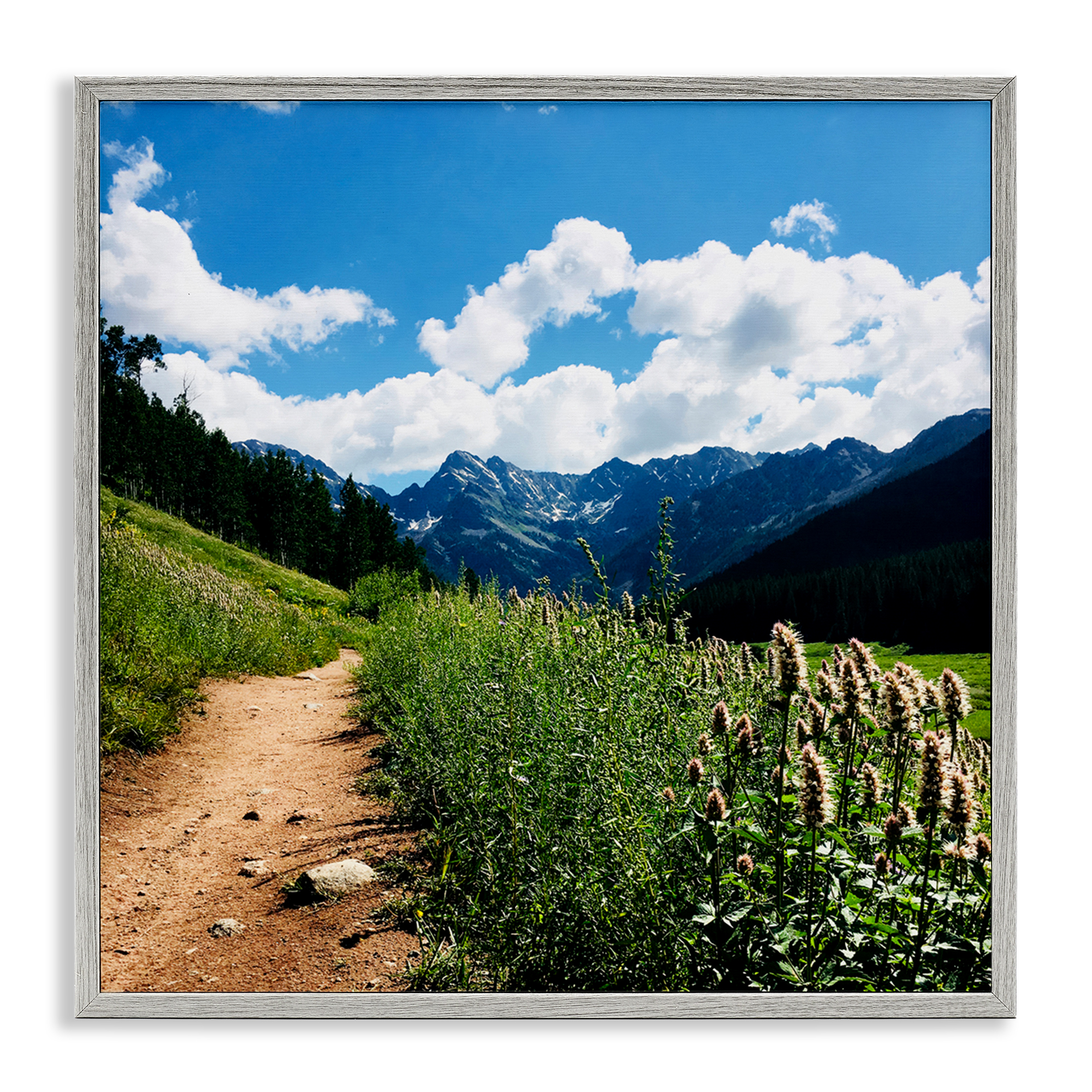 Stupell Industries Lovely Path with Clouds Landscape & Nature Photography Gray Framed Art Print Wall Art, 12 x 12
