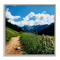thumbnail image 1 of Stupell Industries Lovely Path with Clouds Landscape & Nature Photography Gray Framed Art Print Wall Art, 12 x 12, 1 of 2