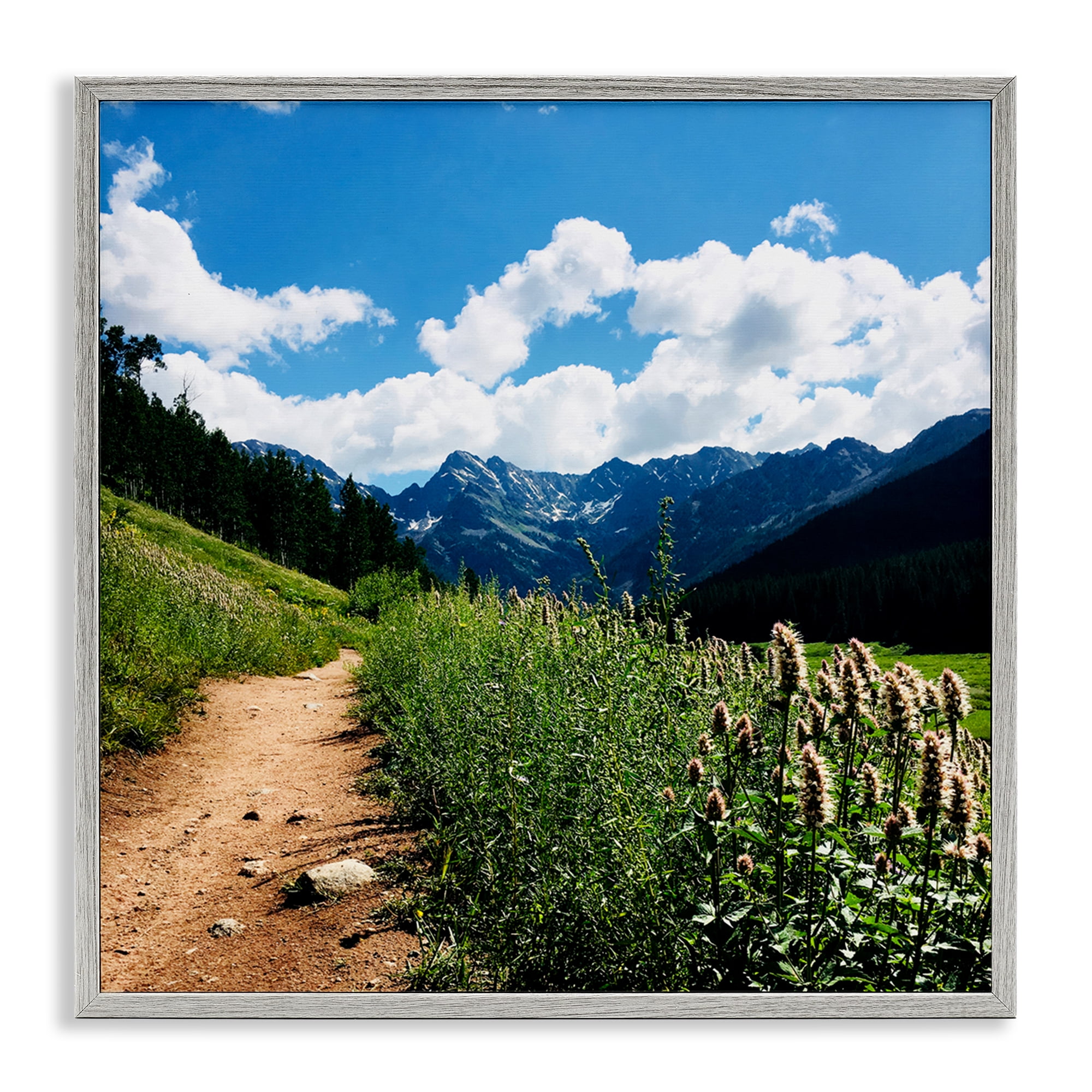 Stupell Industries Lovely Path with Clouds Landscape & Nature Photography Gray Framed Art Print Wall Art, 17 x 17